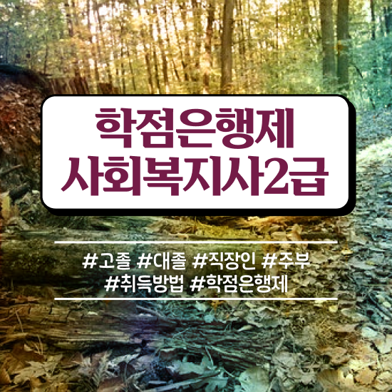  부산 사회복지 자격증 신청 사회복지사2급 조건이 안돼도 온라인 과정으로 간단하게