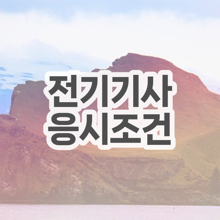  전기기사전기기기 전기기사 시험응시조건 온라인으로 4달 안에 준비한 후기