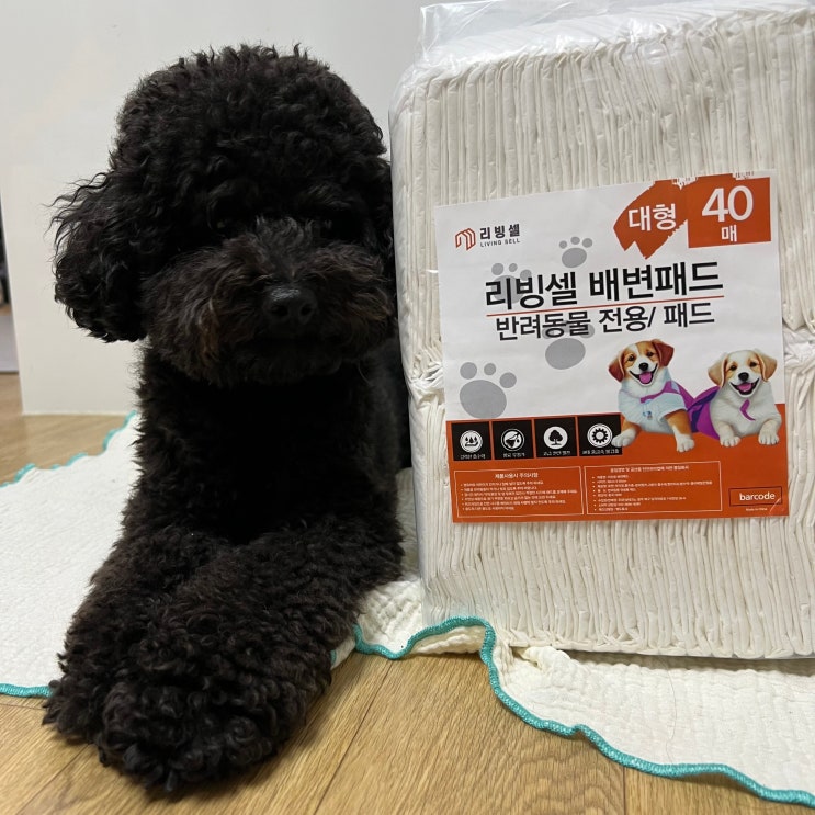  강아지 배변패드 대형 추천 리빙셀