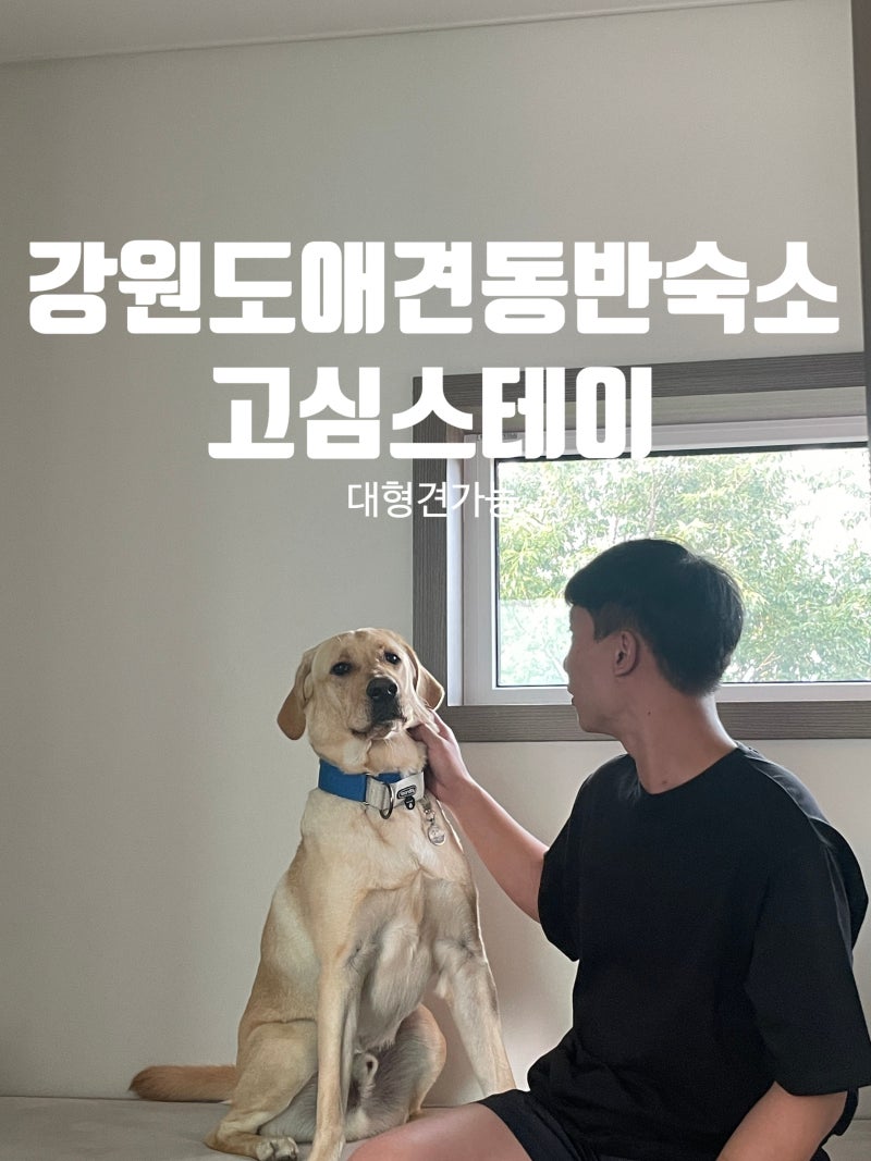 사진 3