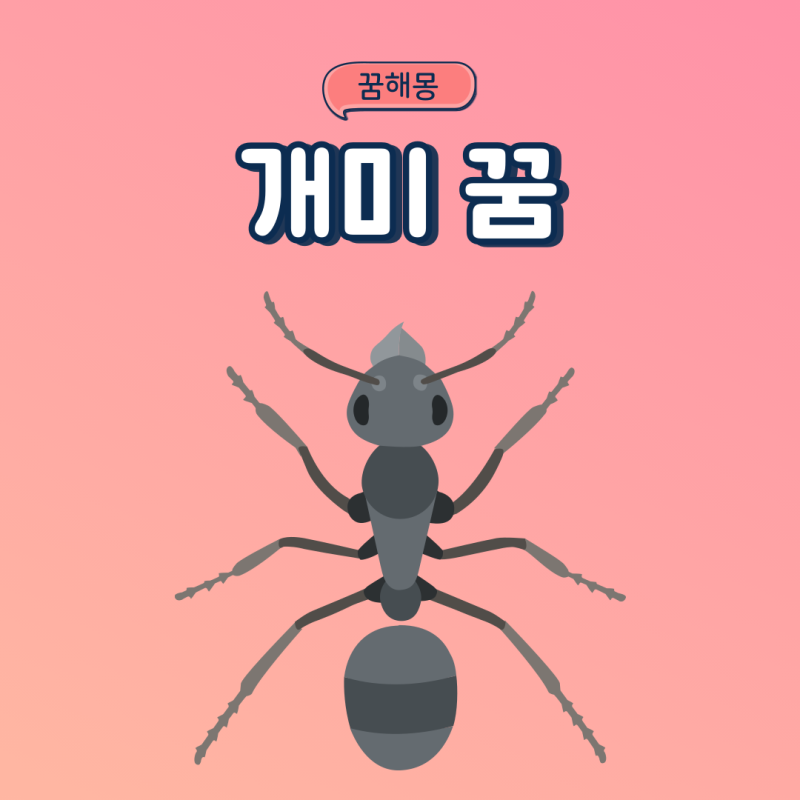 개미 나오는꿈 개미가 우글거리는꿈 개미떼 꿈