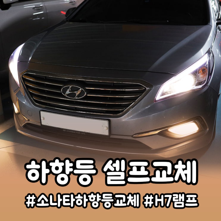  LF 소나타 전조등 하향등(헤드라이트) 램프 셀프 교체 후기
