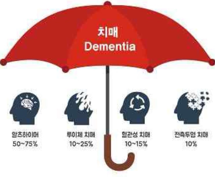  주요 치매의 종류별 특징