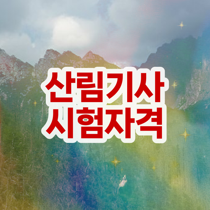  산림기사 자격증 산림기사 응시조건 인강만 듣고 간편하게 끝낸 방법