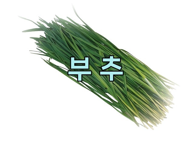 부추의 효능 7가지 및 부작용 보기