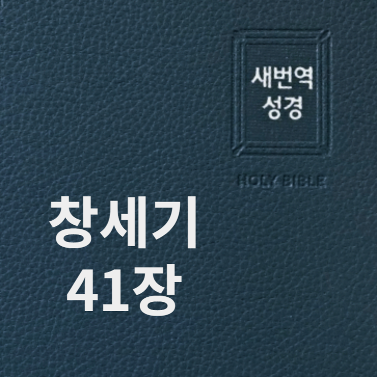 창세기 41장 창세기 41장
