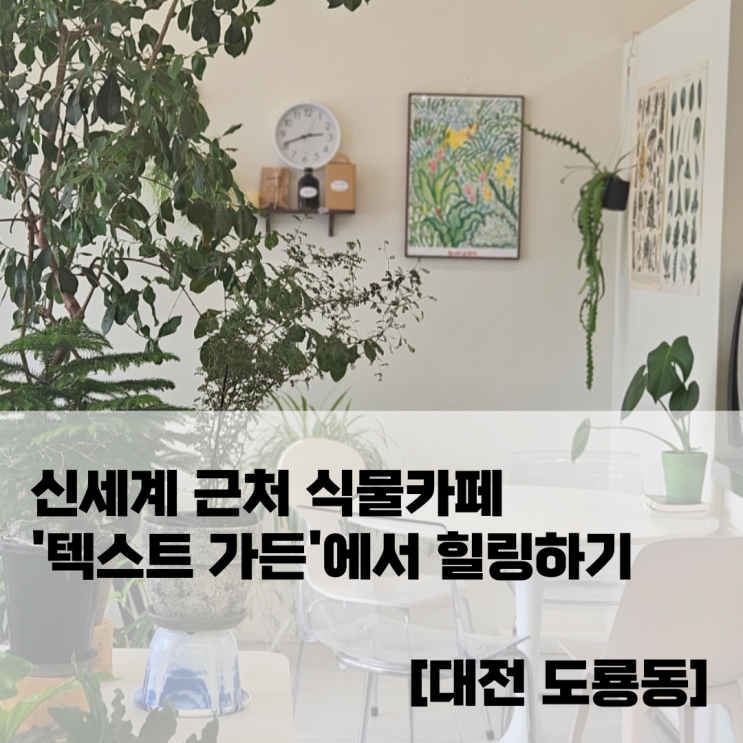  신세계 근처 식물카페 '텍스트 가든'에서 힐링하기 [대전 도룡동]