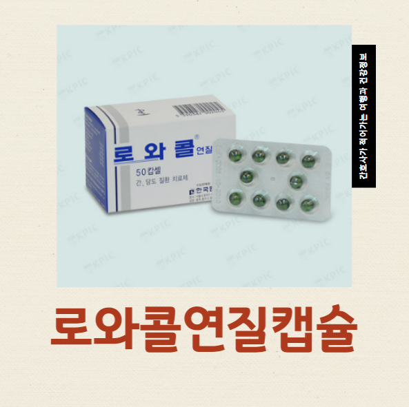  로와콜연질캡슐 담석증약 복용법 효과 부작용 언제 먹어야 할까?