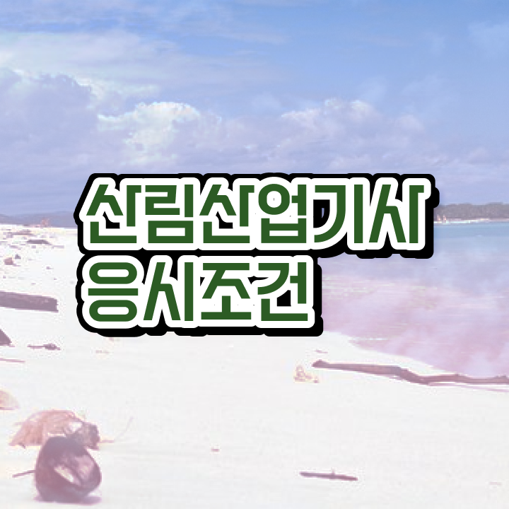  산림산업기사 산림산업기사 자격요건 인강만 듣고 1학기 만에 성공한 전략