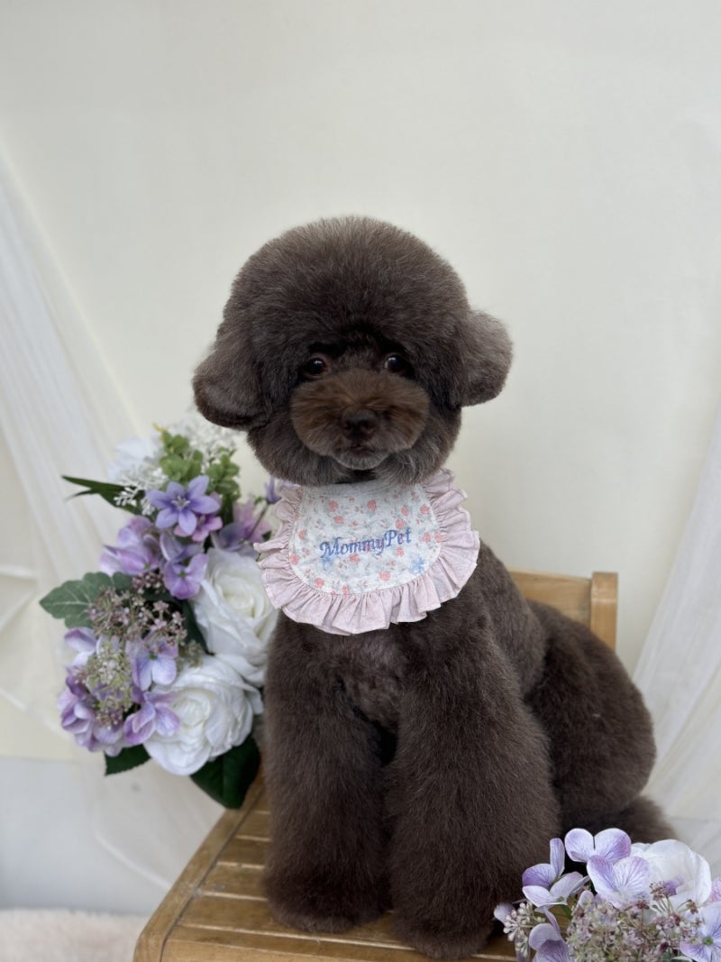 사진 10