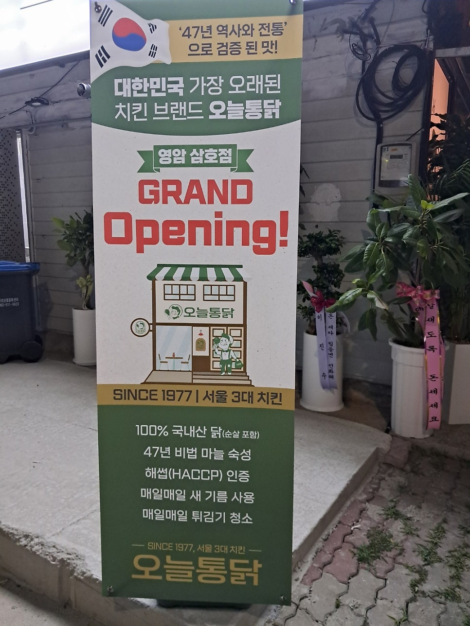 오늘통닭 영암삼호점 사진 6
