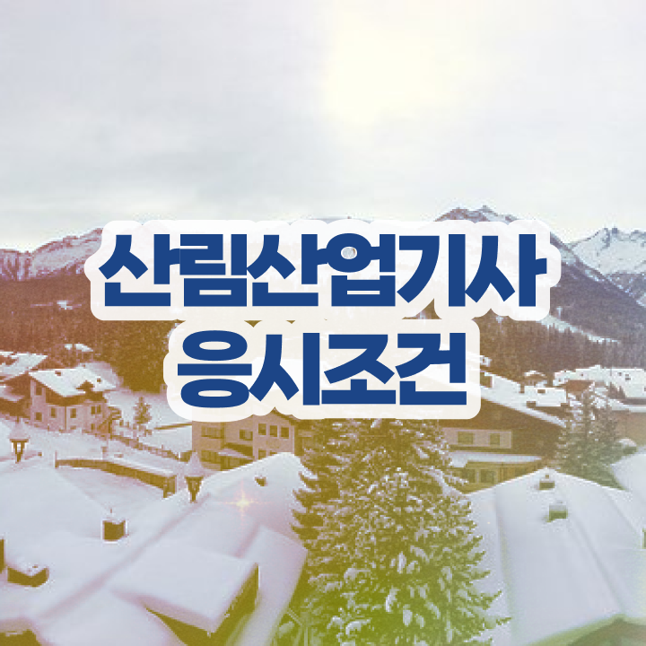  산림산업기사 자격증 산림산업기사 시험자격 독학으로 반 년만에 성공한 노하우