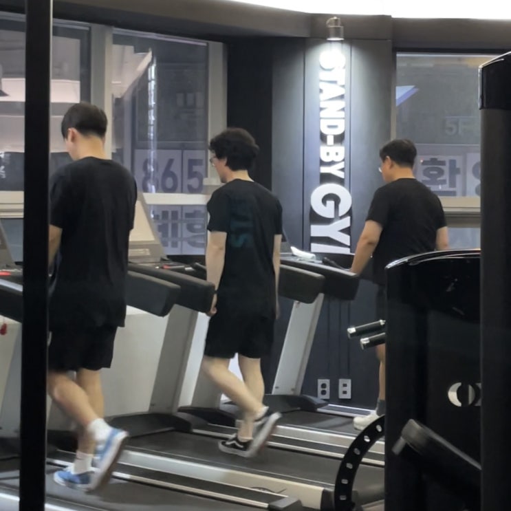  세종 피티, 재활] 격한 운동은 노화를 늦춘다?