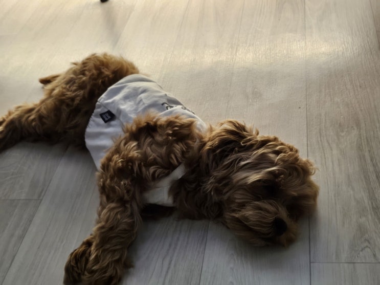  잘때가