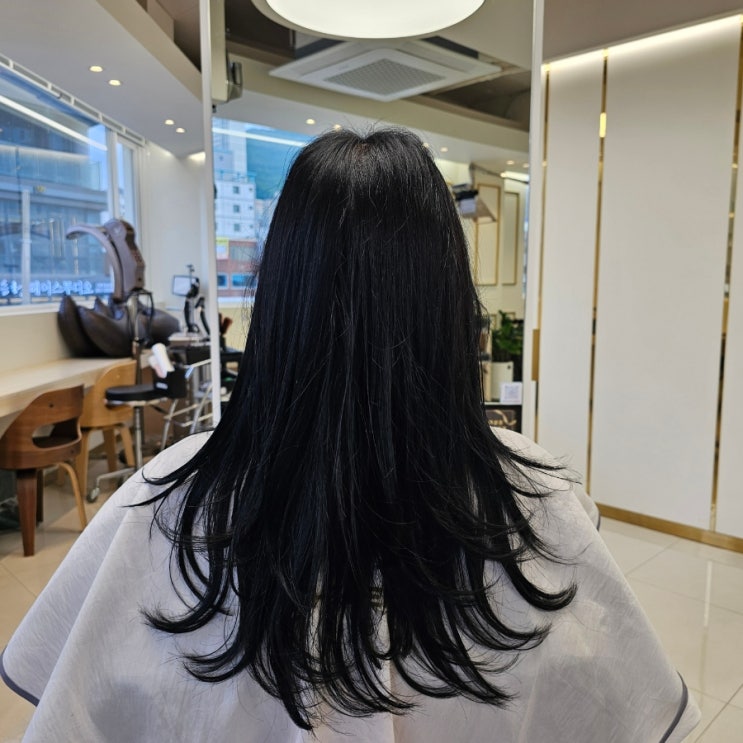  부산 서면/전포동 : 전포동미용실, 전포동 염색, 더힐즈헤어살롱서면점포점(겨울쿨톤 브라이트 염색, 블루 블랙 염색)
