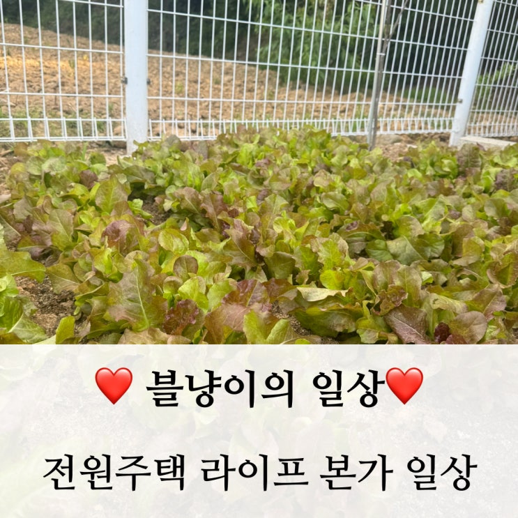  전원주택 라이프 생활을 위해 본가로 1박2일