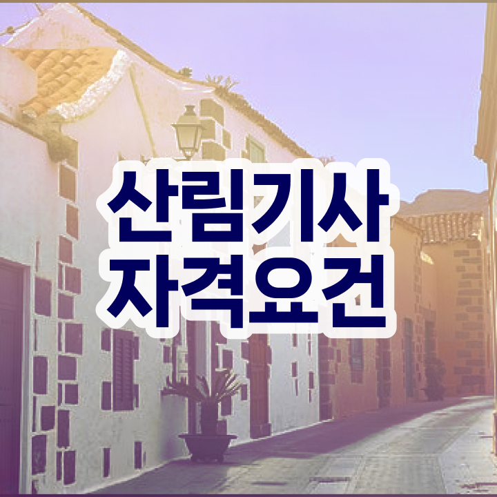  산림기사 관련학과 산림기사 취득자격 독학으로 4개월 만에 준비한 전략
