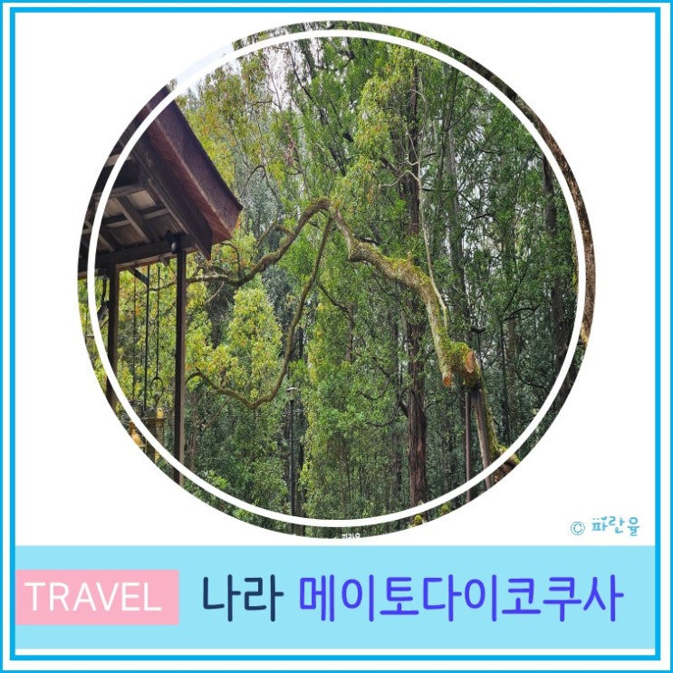  오사카 근교 소도시 나라 여행 추천 신사 메이토다이코쿠사