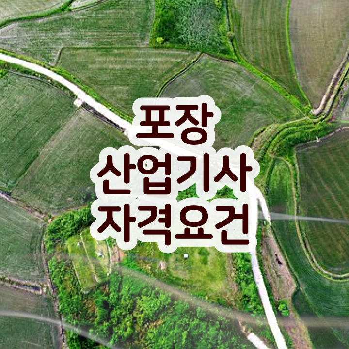  포장산업기사 응시자격 인강으로 1학기 만에 완료한 전략