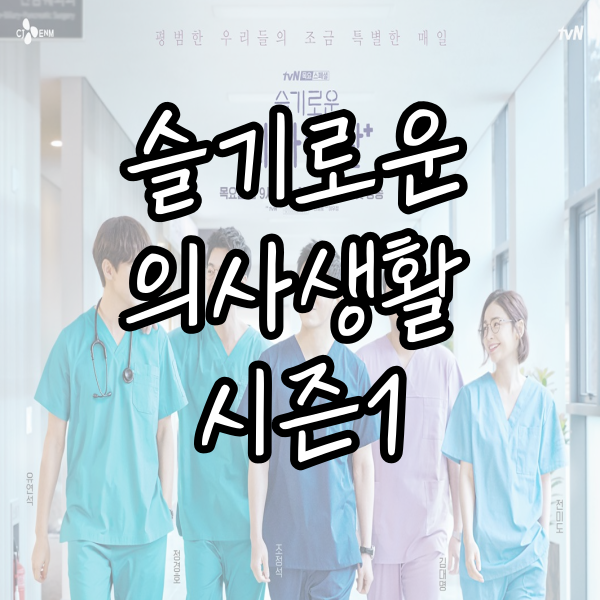  슬기로운 의사생활 시즌1 리뷰: 심장 따뜻해지는 의사들의 이야기