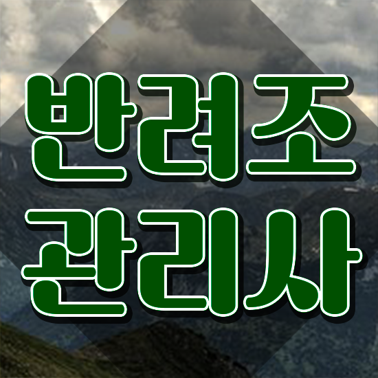  모란앵무새가격 , 반려조관리사 자격증 독학으로 준비한 과정 및 활용 방법