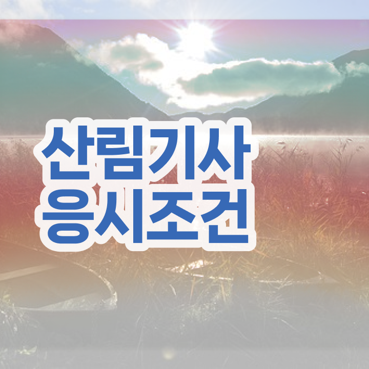  산림기사 학점 산림기사 자격요건 독학으로 반 년만에 성공한 방법