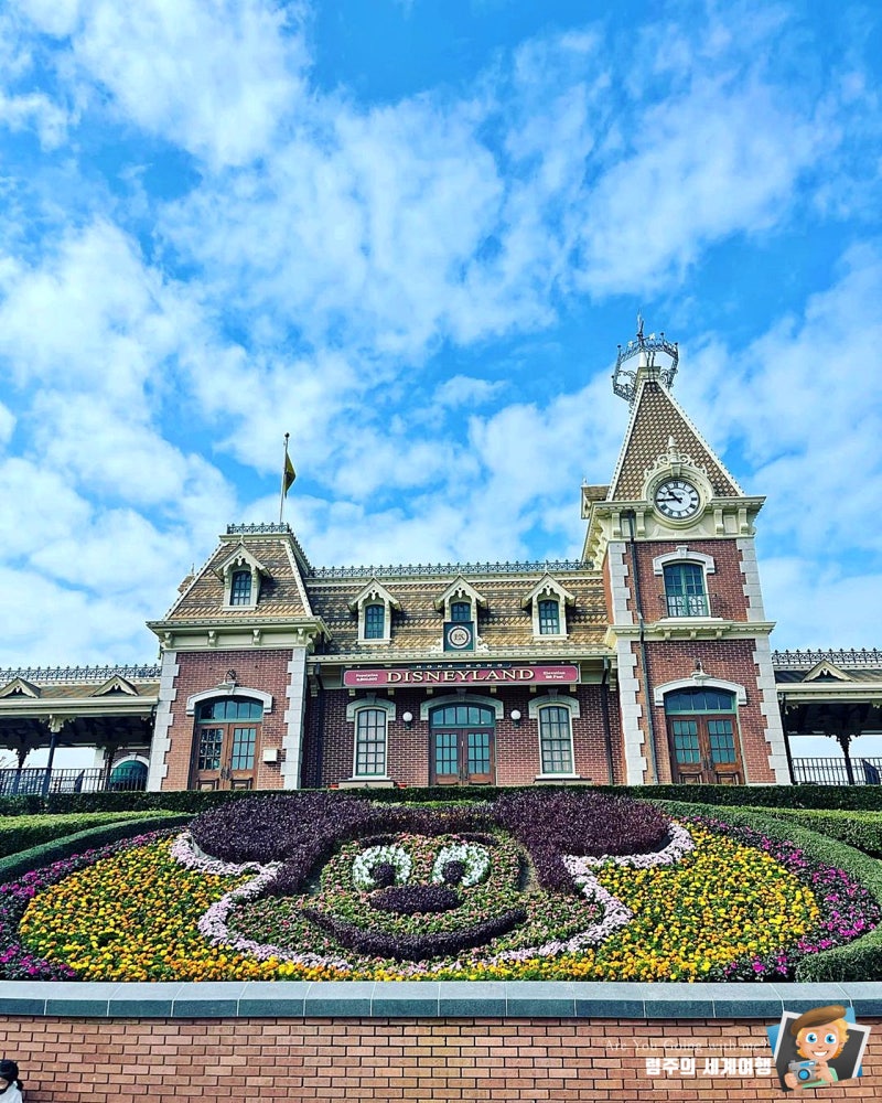 홍콩 디즈니랜드 티켓 예약 겨울왕국 가는법, 놀이기구 어트랙션 추천 라이온킹 공연 : 네이버 블로그, image size:800x1000