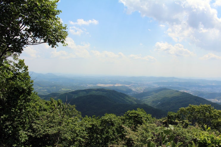  힐링 산행하러 태화산 등산... 240616