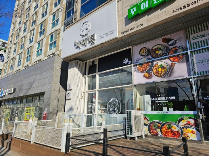 사진 11