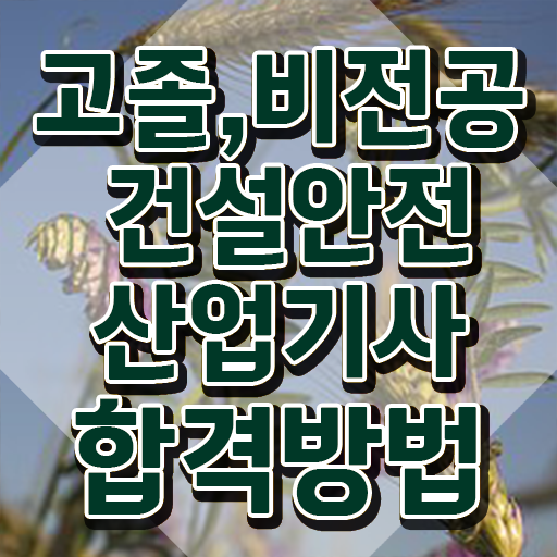  건설안전산업기사 합격 건설안전산업기사 자격요건 인강으로 4달 안에 준비한 후기