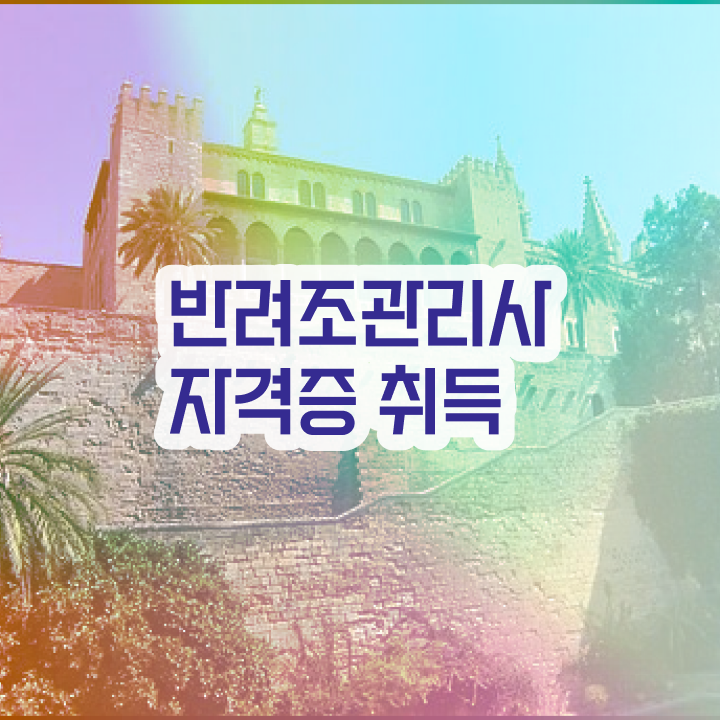 앵무새 발정기 , 반려조관리사 자격증 15일 만에 취득했던 후기 및 고용 전망