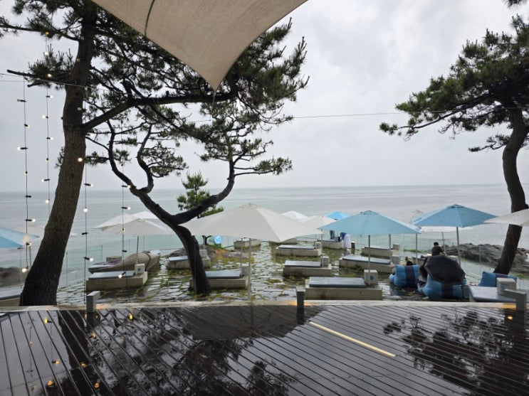  부산 기장 오션뷰 카페 주말 방문 웨이브 온 커피