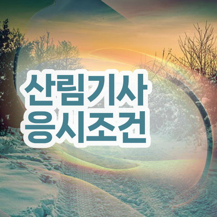  산림기사 시험 접수 산림기사 자격요건 독학으로 1학기 만에 완료한 비법
