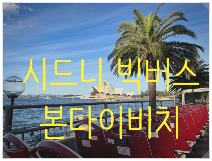  시드니 빅버스 / 본다이비치 아이스버그