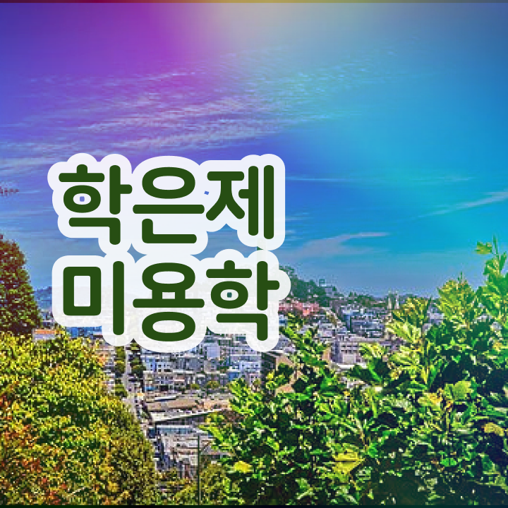  미용 자격증 종류 , 온라인 과정만으로 국가미용자격증 학위랑 자격증을 한번에 딴 방법