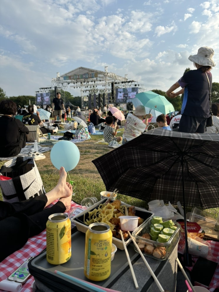 [일상 일기] 2024 <b>경기</b>모아뮤직<b>페스티벌</b> 다녀온 투머치 후기... 