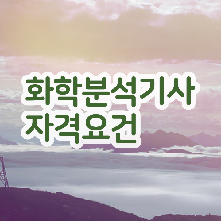  화학분석기사 필기 후기 화학분석기사 시험응시조건 집에서 온라인으로 편하게 성공한 전략