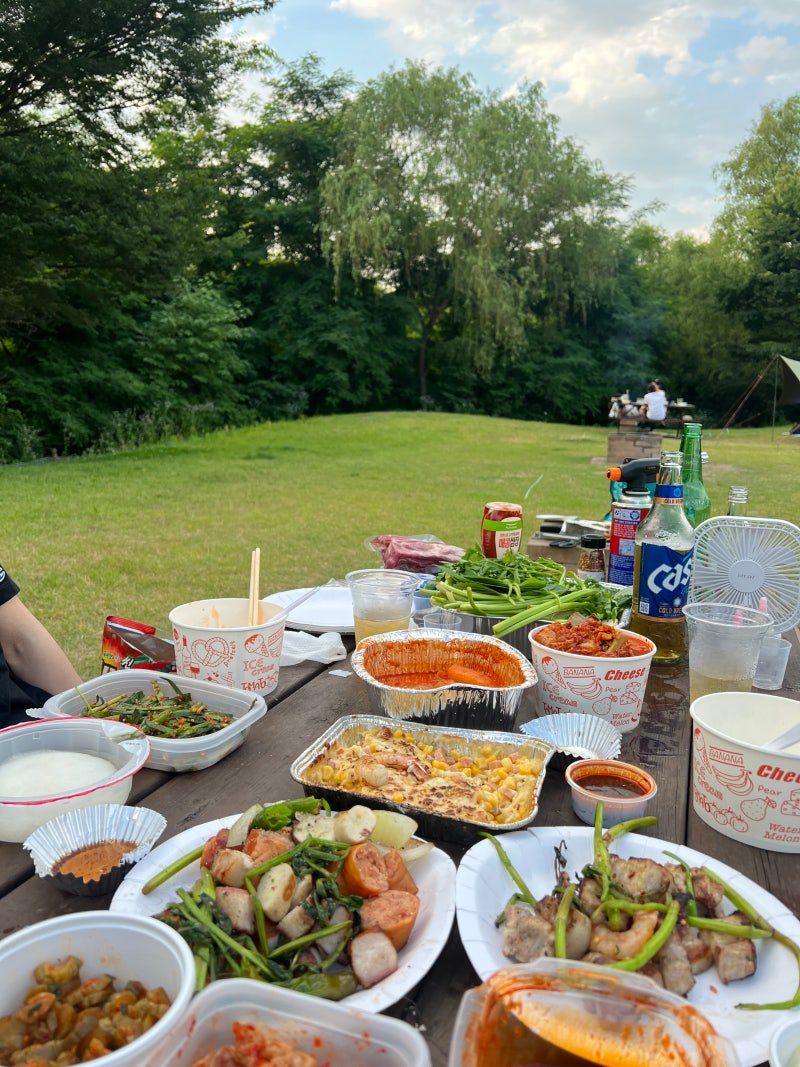 상암 하늘공원 노을캠핑장 찐 후기! 노을캠핑장 예약방법&자리꿀팁&주차장&맹꽁이열차 관련 ....