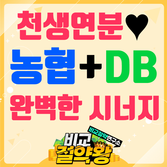  농협 DB 어린이보험 어른이보험 천생연분