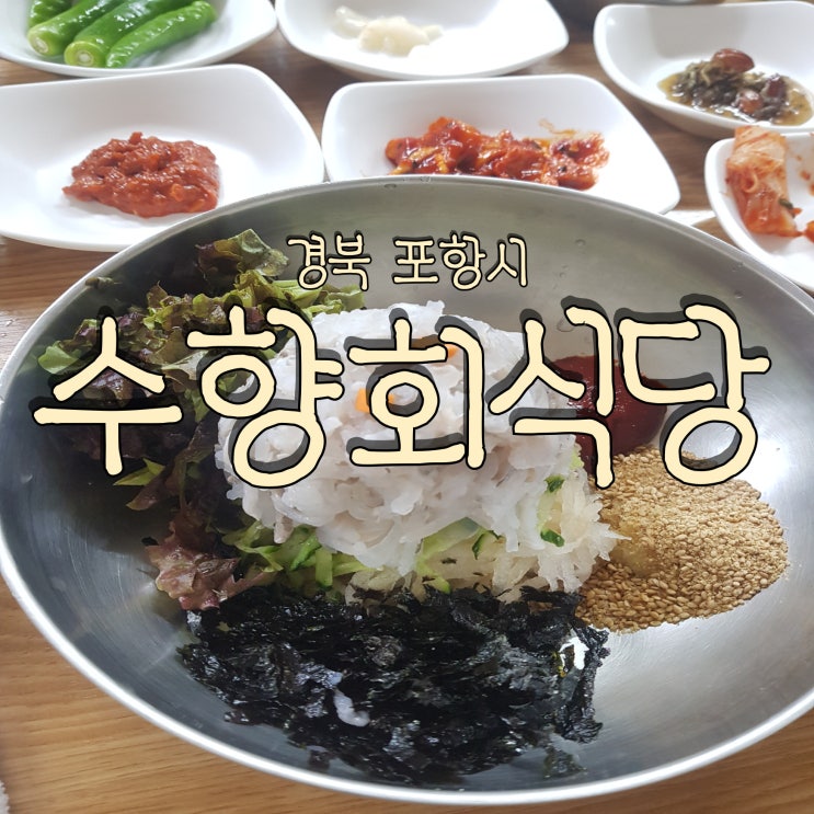  허영만의 백반기행 고추장 물회가 있는 포항 죽도시장 수향회식당