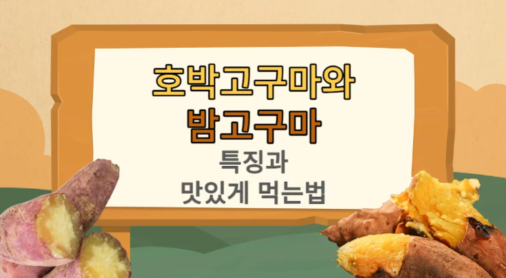 호박고구마와 밤고구마 특징과 맛있게 먹는법