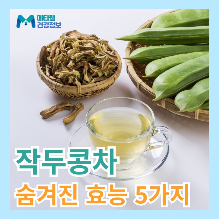  비염에 좋은 작두콩차 숨겨진 효능, 축농증에 효과있을까? 부작용까지 총정리