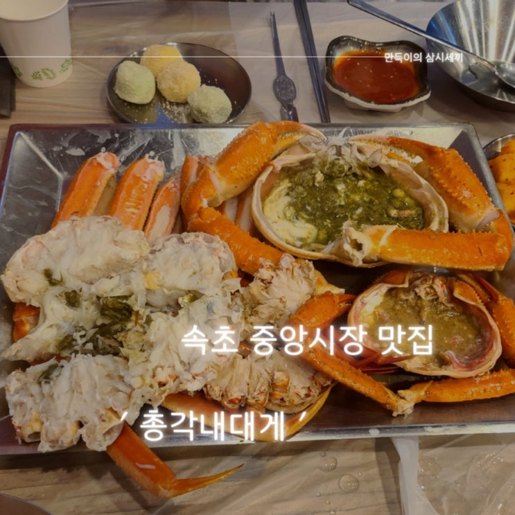 속초 중앙시장 맛집 추천 대게 맛집 총각내대게 방문기 속초 중앙시장 맛집 추천 대게 맛집 총각내대게 방문기