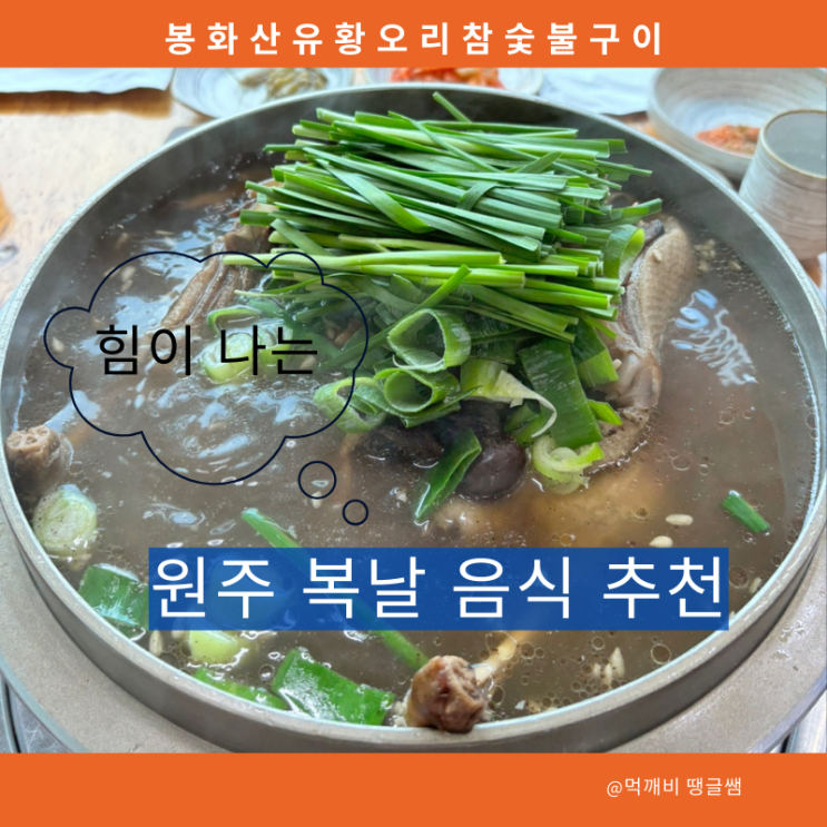  원주 복날 음식 추천 원주단계동 맛집 힘이 나는 봉화산유황오리참숯불구이