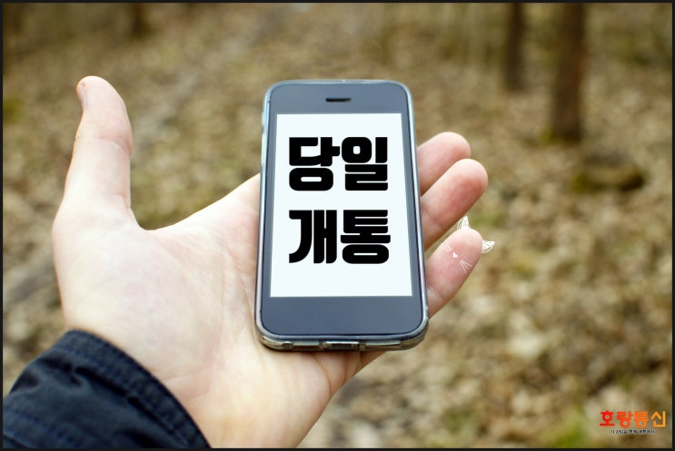 엔텔레콤 요금제 설명 및 개통 방법 정리 엔텔레콤 요금제 설명 및 개통 방법 정리