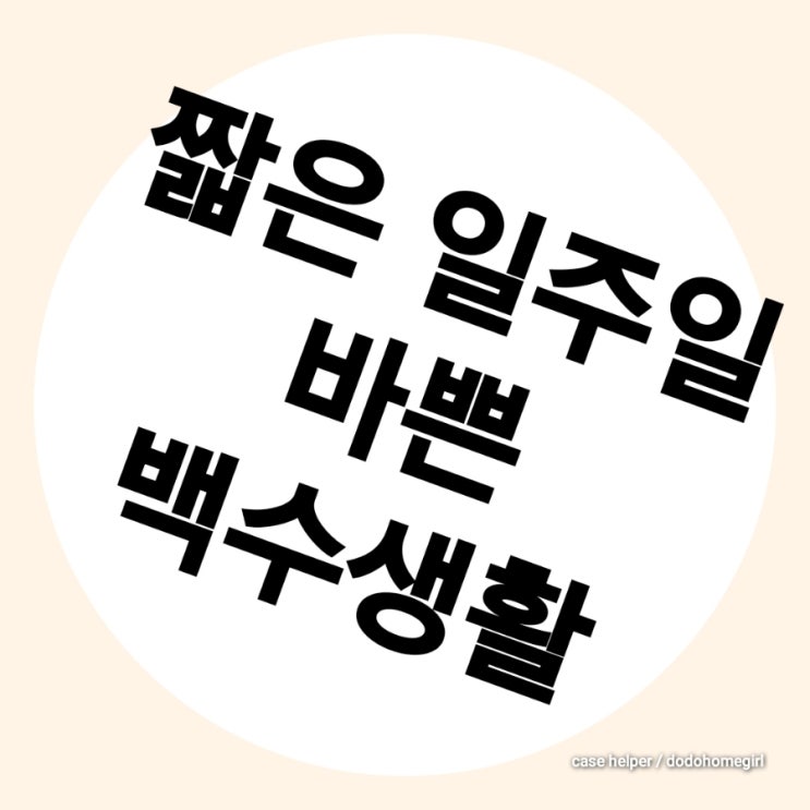  짧은 일주일, 바쁜 백수생활 즐기기
