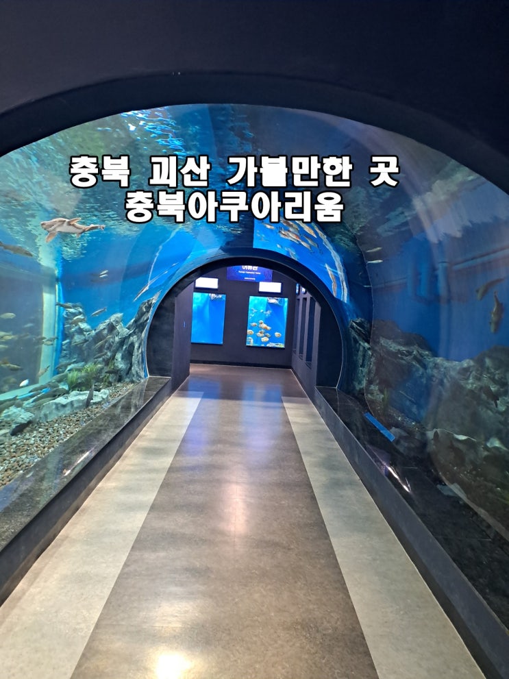  충북 괴산 여행 가볼만 한곳 충북아쿠아리움 무료 아쿠아리움