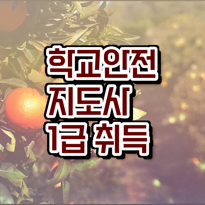  아동안전지도 , 학교안전지도사 자격증 합격한 전략 콕콕 짚어드립니다