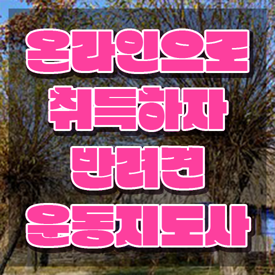  여자 자격증 추천 , 반려견운동지도사 관련학과 아니어도 온라인 교육원 통해서 최단기간 성공한 팁