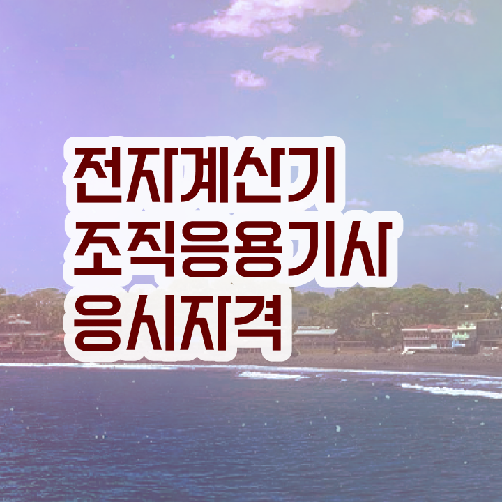  전자계산기조직응용기사 자격요건 인강만 듣고 5달만에 준비한 비법